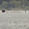 313-0764 Submarine